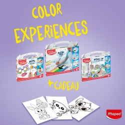 Pack Color Experiences